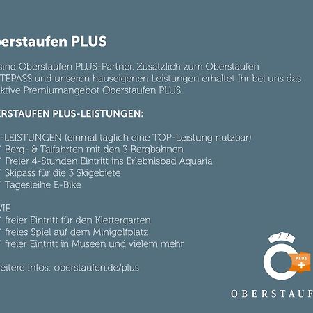 Exklusive Fewo Allgaeustern Steibis Mit Wlan Sauna Kamin Und Oberstaufen Plus Card エクステリア 写真