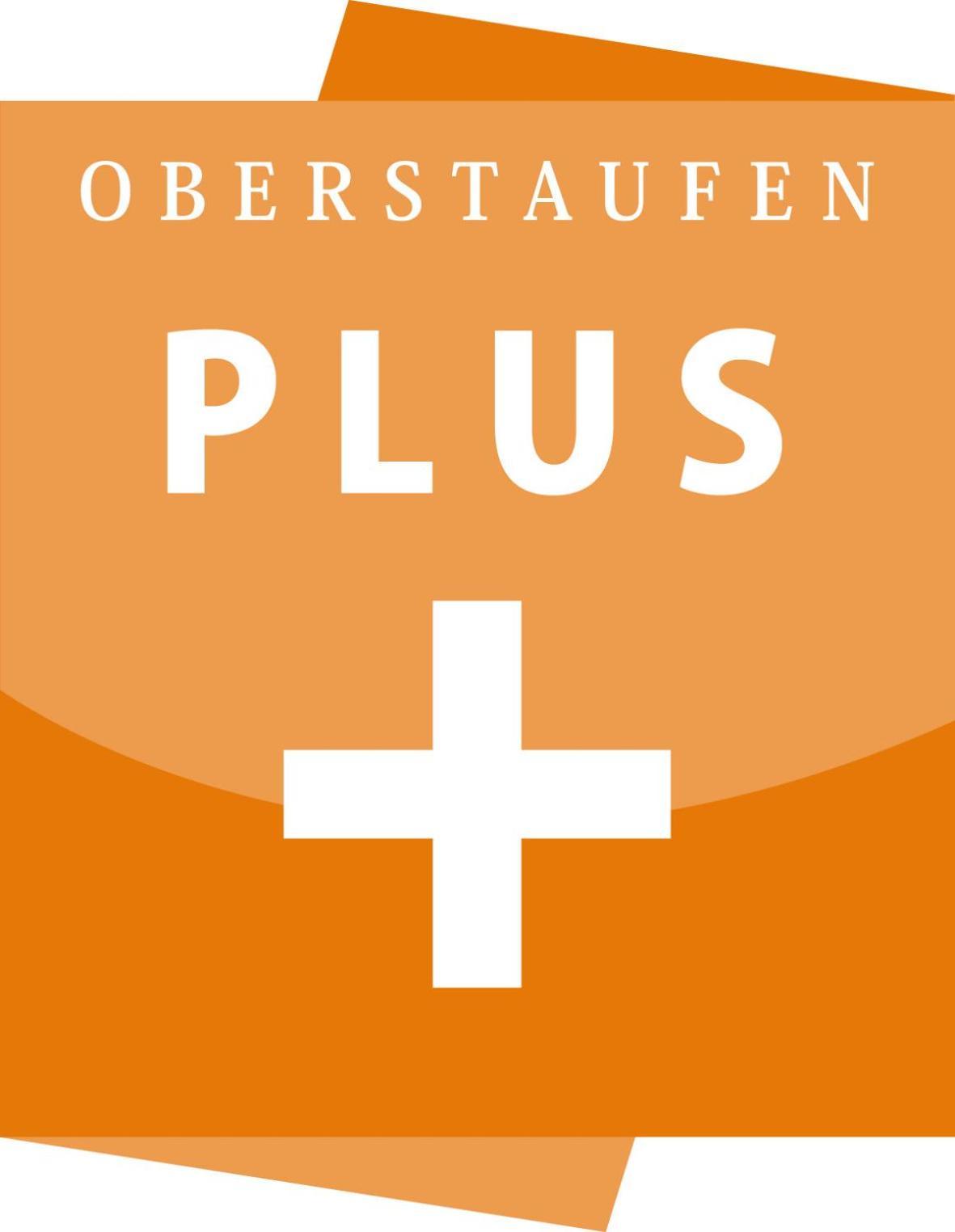 Exklusive Fewo Allgaeustern Steibis Mit Wlan Sauna Kamin Und Oberstaufen Plus Card エクステリア 写真